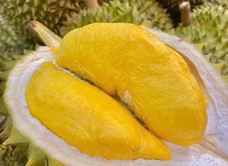 Tập trung kiểm soát từ gốc, từ khâu canh tác đến đóng gói - Ảnh: VGP/Đỗ Hương