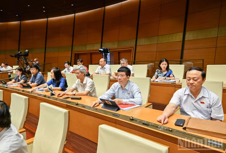 Đại biểu Quốc hội biểu quyết thông qua Luật sửa đổi, bổ sung một số điều của Luật Quốc tịch Việt Nam. (Ảnh: DUY LINH)