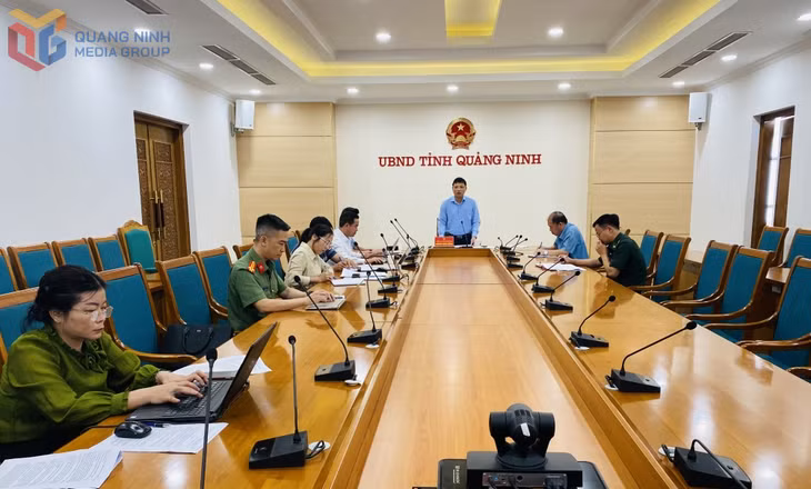 Đồng chí Nghiêm Xuân Cường, Phó Chủ tịch UBND tỉnh phát biểu chỉ đạo tại cuộc họp.