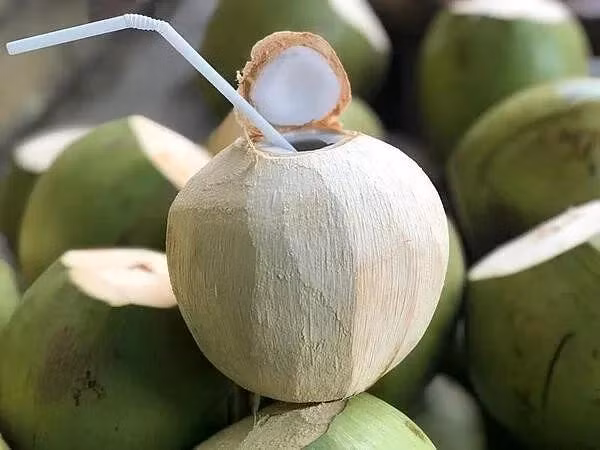 Hiệp hội Dừa Việt Nam đưa ra nhiều đề xuất nhằm giải cứu ngành dừa khỏi tình trạng nghẽn nguyên liệu. Ảnh minh họa: IT.