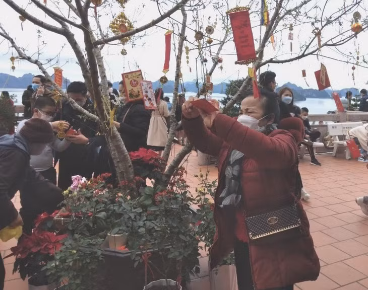 Người dân hái lộc tại chùa Cái Bầu (huyện Vân Đồn).