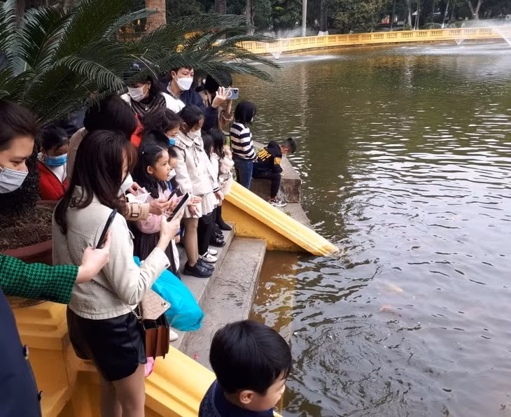 Du khách tham quan ao cá Bác Hồ trong khuôn viên Khu dich tích Chủ tịch Hồ Chí Minh (Ba Đình, Hà Nội). Ảnh: XM