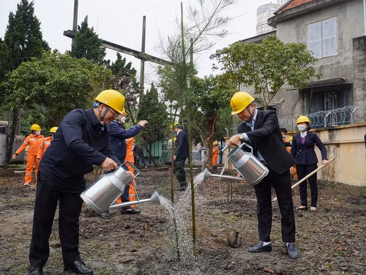 Ông Nguyễn Thanh Tĩnh, Bí thư Đảng ủy, Giám đốc PC Quảng Ninh và ông Vũ Hữu Chương, Phó Bí thư TT Đảng ủy, Chủ tịch Công đoàn PC Quảng Ninh, chăm sóc một cây xanh mới trồng.