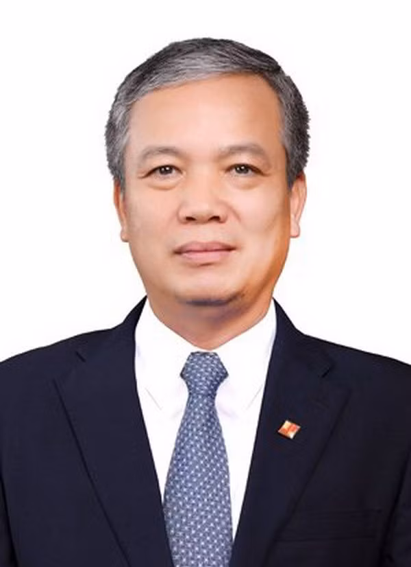 Bo nhiem Tong Giam doc Tong Cong ty Dau tu va Kinh doanh von Nha nuoc hinh anh 1