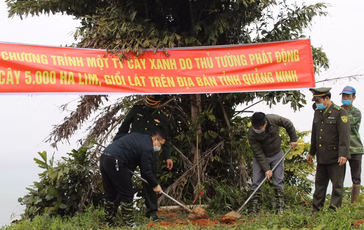 Các lực lượng tham gia trồng cây tại Hòn Đầu Sơn, TP Móng Cái.