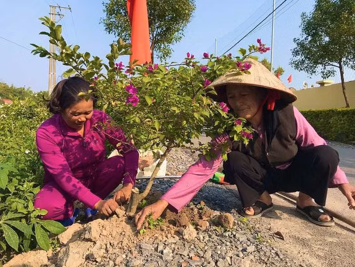 Nông dân trồng cây tại tuyến đường kiểu mẫu thôn 7 (xã Quảng Minh, huyện Hải Hà).