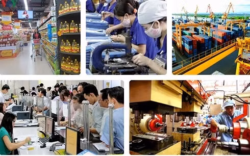 Hỗ trợ doanh nghiệp tư nhân kinh doanh bền vững ảnh 1