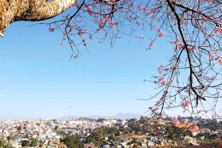 Đà Lạt - nhìn từ xa