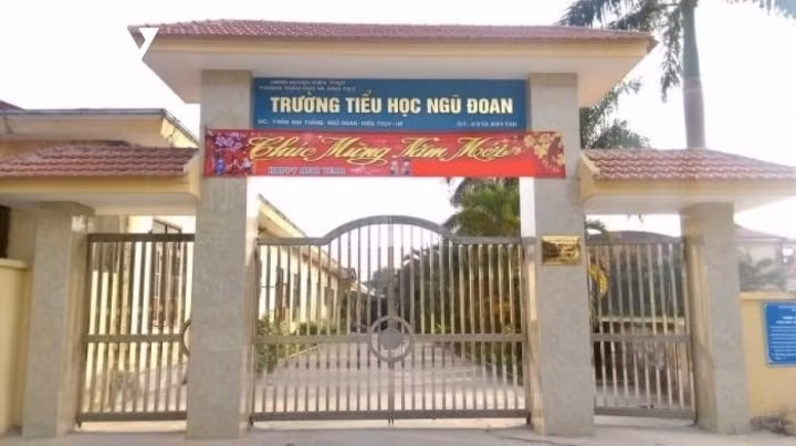 Trường tiểu học Ngũ Đoan