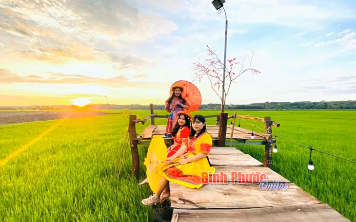 Du khách tìm đến khu dân cư sinh thái tại đồng ruộng thôn Bù Cà Mau, xã Phú Nghĩa, huyện Bù Gia Mập để vui chơi, giải trí cuối tuần