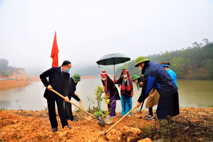 Năm 2022, toàn huyện phấn đấu thực hiện trồng 700 ha rừng tập trung.
