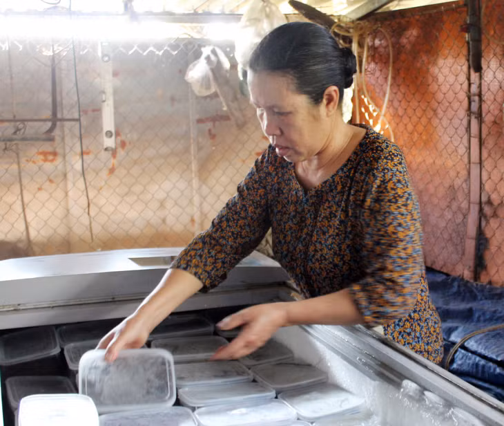 Bà Nguyễn Thị Chúc, Hội viên nông dân phường Xuân Sơn, TP Đông Triều, tỉnh Quảng Ninh.