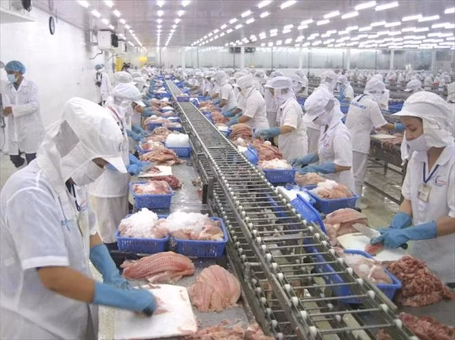 Nhóm thủy sản trong 11 tháng năm 2024 thặng dư 6,88 tỷ USD, tăng 17,5%. (Ảnh: PV/Vietnam+)