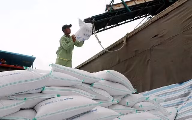 Dự báo thị trường gạo 2025 tiếp tục khởi sắc - Ảnh 2.