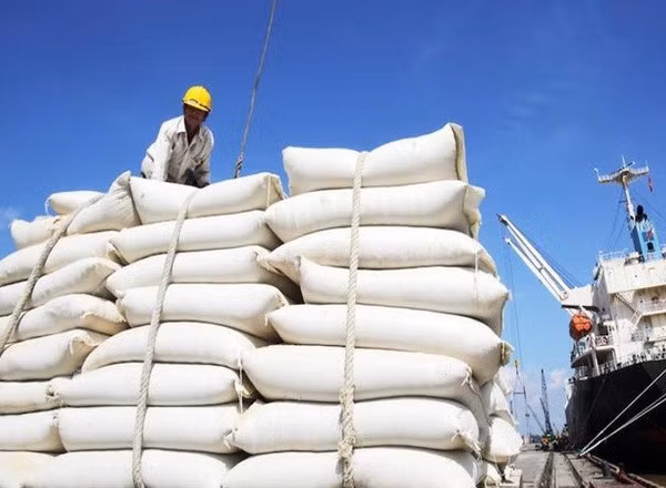Dự báo thị trường gạo 2025 tiếp tục khởi sắc - Ảnh 1.