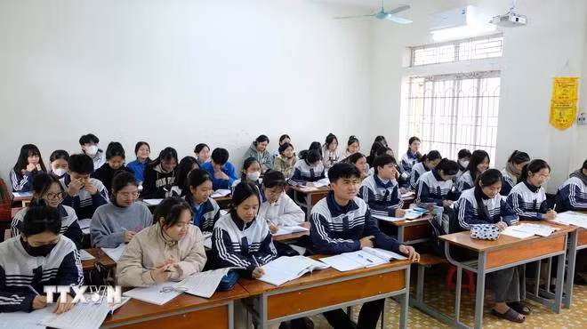 Thời điểm này, học sinh lớp 12 ở Nghệ An tích cực ôn luyện và tham gia nhiều kỳ thi đánh giá năng lực, đánh giá tư duy nhằm giành một suất xét tuyển sớm vào đại học. (Ảnh: Bích Huệ/TTXVN)