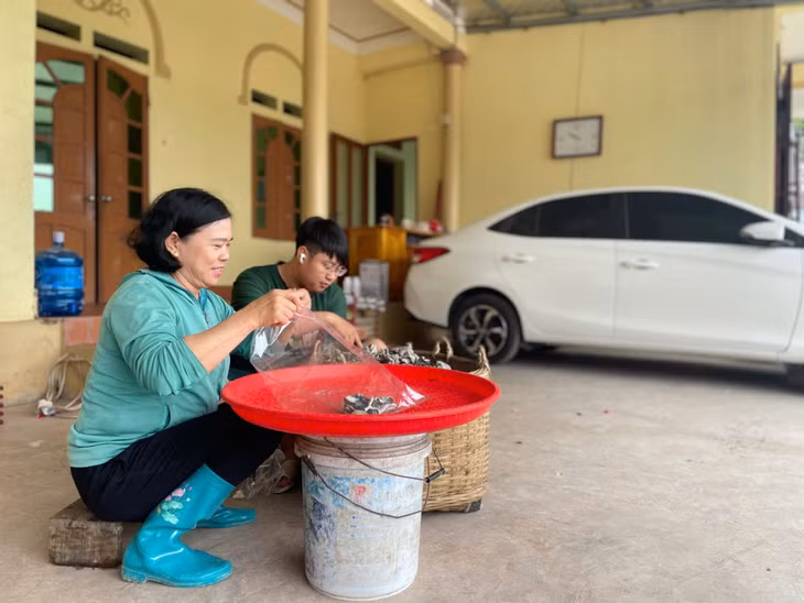 Bà Dương Thị Lụa, xã Dực Yên, huyện Đầm Hà đóng gói mộc nhĩ để chuyển cho khách hàng.