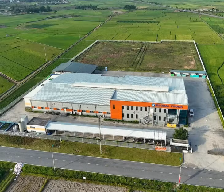 Nhà máy của F-One Global Foods đặt tại phường Đức Chính, TP Đông Triều, tỉnh Quảng Ninh.
