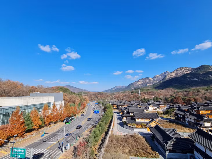 Cây quanh khu vực làng Hanok, Seoul vẫn mang màu vàng, đỏ vào cuối tháng 11. Ảnh: Bảo Anh