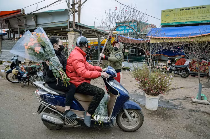 Người dân thủ đô mua đào sớm tại chợ hoa Quảng An để trang trí nhà cửa, đón Tết. Ảnh: Vương Lộc
