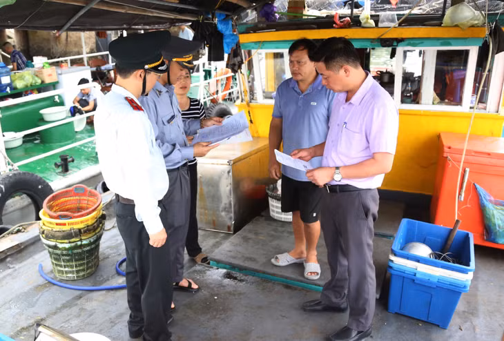 Đoàn kiểm tra của Sở NN&PTNT kiểm tra việc chấp hành các quy định của pháp luật về thủy sản đối với tàu cá hoạt động trên vùng biển tỉnh Quảng Ninh. Ảnh: Nguyễn Thanh