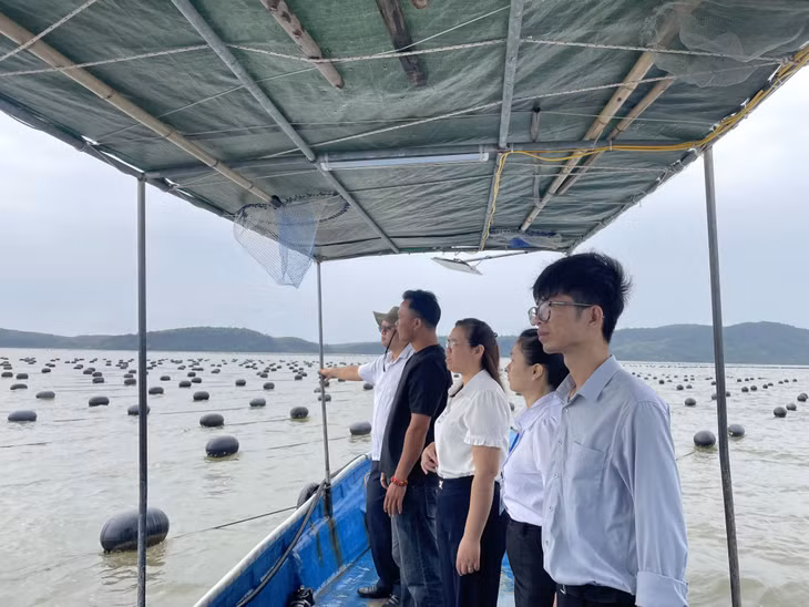 Cán bộ Phòng TN&amp;MT huyện, lãnh đạo xã Tân Lập kiểm tra khu vực nuôi biển trên địa bàn xã Tân Lập (Đầm Hà).