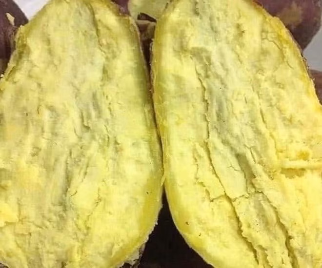 Các món ăn vặt mùa đông không chỉ phù hợp với thời tiết lạnh mà còn giúp kiểm soát mỡ nội tạng một cách khoa học. Ảnh minh họa: Kiều Vũ.