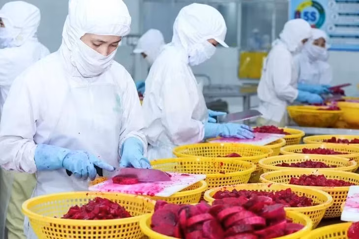 Chế biến là giải pháp giúp nâng cao giá trị xuất khẩu rau quả.