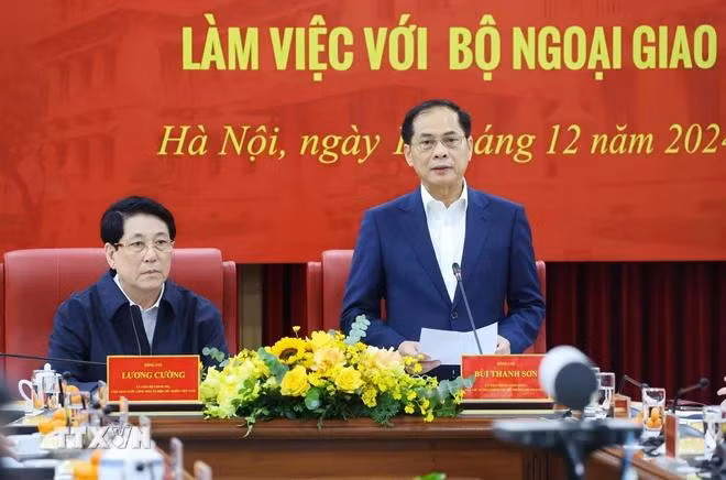 Phó Thủ tướng, Bộ trưởng Bộ Ngoại giao Bùi Thanh Sơn phát biểu. (Ảnh: Lâm Khánh/TTXVN)