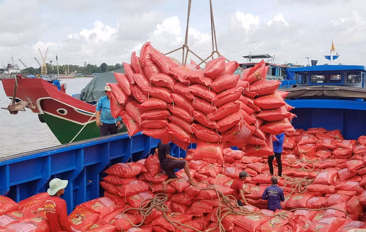 Xuất khẩu gạo của VN trong năm 2024 ước đạt 5,7 tỉ USD, tăng 10,6% so với năm trước - Ảnh: BỬU ĐẤU