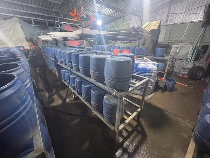 Công an phát hiện cơ sở trồng giá đỗ bằng hóa chất ở Huế - Ảnh: TÙNG NGÂN