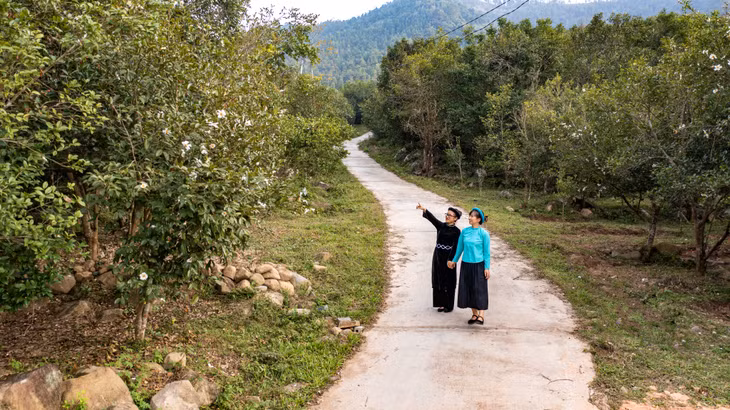 Tuyến đường đi giữa rừng sở (huyện Bình Liêu).