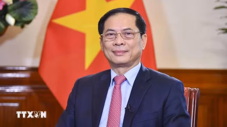 Bộ trưởng Ngoại giao Bùi Thanh Sơn. (Ảnh: TTXVN phát)