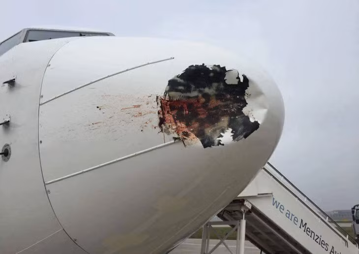 Một vụ va chạm chim để lại vết lõm lớn trên máy bay Egypt Air. Ảnh: Amir Harshim.