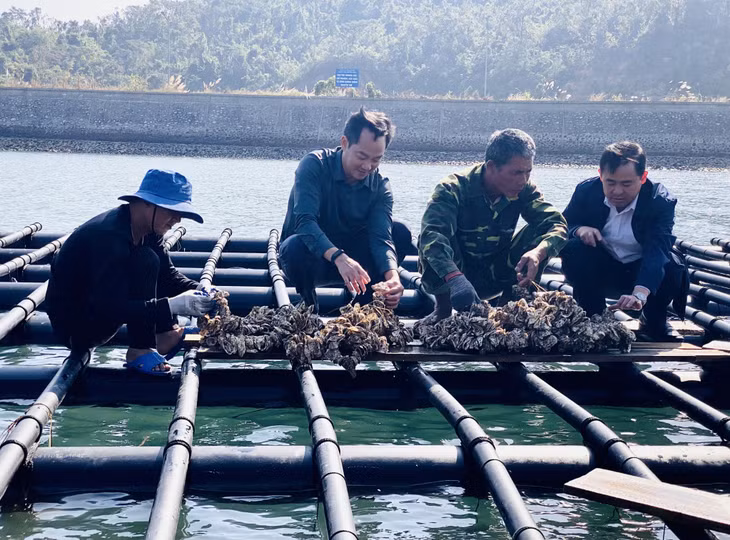 Lãnh đạo Sở NN&PTNT và ông Trạc Văn Làn, xã Quan Lạn, huyện Vân Đồn kiểm tra chất lượng lô hàu giống.