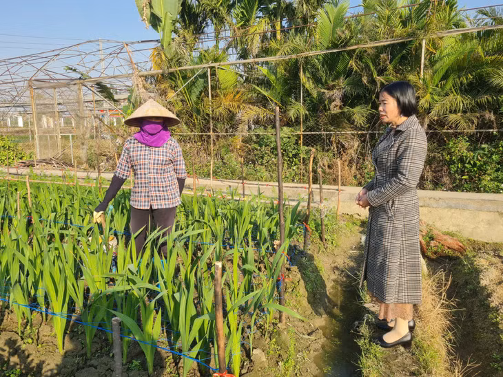 Lãnh đạo Hội Nông dân xã Tiền An trao đổi, trò chuyện, động viên các hộ trồng hoa trên địa bàn.