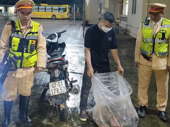 Đối tượng Đặng Văn Thành cùng các cá thể khỉ bị lực lượng chức năng phát hiện, xử lý. Ảnh: Công an cung cấp