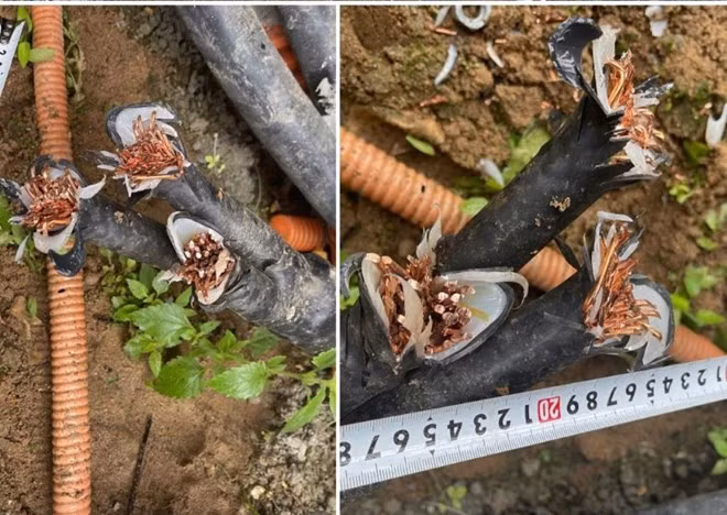 Dây cáp đồng ở dự án điện gió bị hai đối tượng cắt trộm. Ảnh: Công an huyện Hướng Hóa