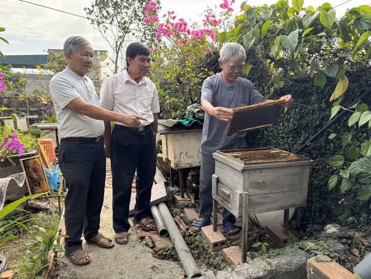 Các thành viên CLB Liên thế hệ tự giúp nhau khu 1, 2, 3, 4, 7 (phường Việt Hưng, TP Hạ Long) giúp nhau phát triển nghề nuôi ong mật