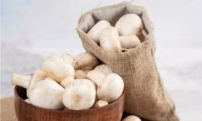 Những người nên thường xuyên ăn nấm. Ảnh: Thùy Dương