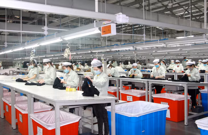 Sản xuất quần áo xuất khẩu tại Công ty TNHH May mặc Hoa Lợi Đạt Việt Nam tại KCN Cảng biển Hải Hà.