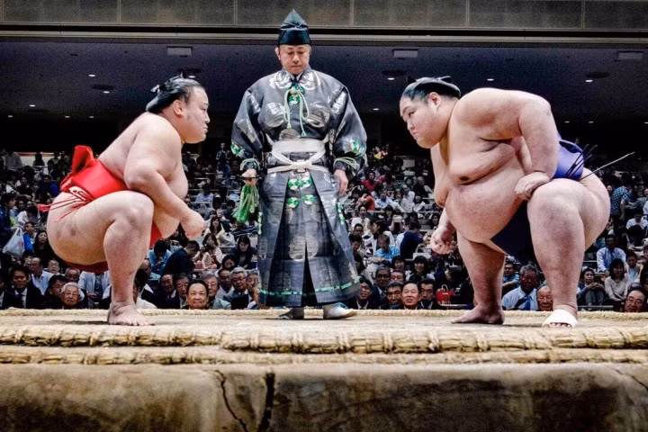 Hai võ sĩ Sumo đang thi đấu dưới sự theo dõi của nhiều khán giả. (Ảnh: David Sharabani)