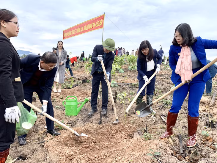 Đồng chí Nguyễn Thị Thu Hà – Tỉnh ủy viên, Phó Trưởng Đoàn ĐBQH chuyên trách tỉnh Quảng Ninh khoá XV_ cùng các đồng chí lãnh đạo huyện Đầm Hà tham gia trồng cây.
