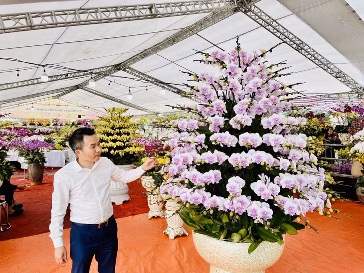 Rộn ràng Chợ hoa xuân Hạ Long ảnh 7
