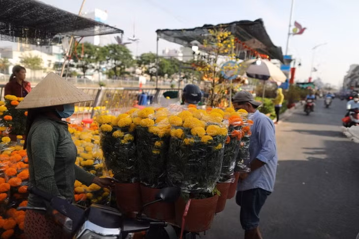 Theo ghi nhận, các mặt hàng hoa Tết năm nay cũng khá phong phú như mai vàng, hoa giấy, vạn thọ...