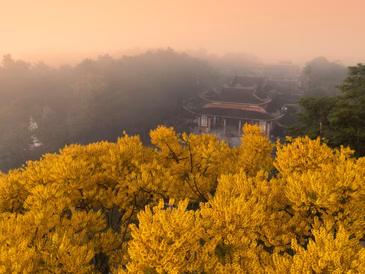 Tu viện Bát Nhã là một trong những điểm du lịch tâm linh hút khách bậc nhất tỉnh Lâm Đồng. Không chỉ sở hữu kiến trúc đậm chất Á Đông đầy mê hoặc, tu viện còn tọa lạc tại vị trí có phong cảnh hữu tình, không khí trong lành, dễ chịu.
