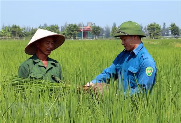 Mot so chinh sach moi noi bat se co hieu luc trong thang 2 hinh anh 2