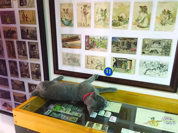 Bảo tàng mèo
