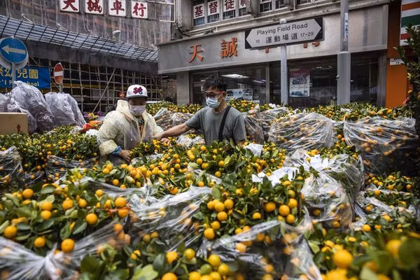 Người đàn ông bán quất tại một gian hàng ở Hong Kong, Trung Quốc. Ảnh: AFP