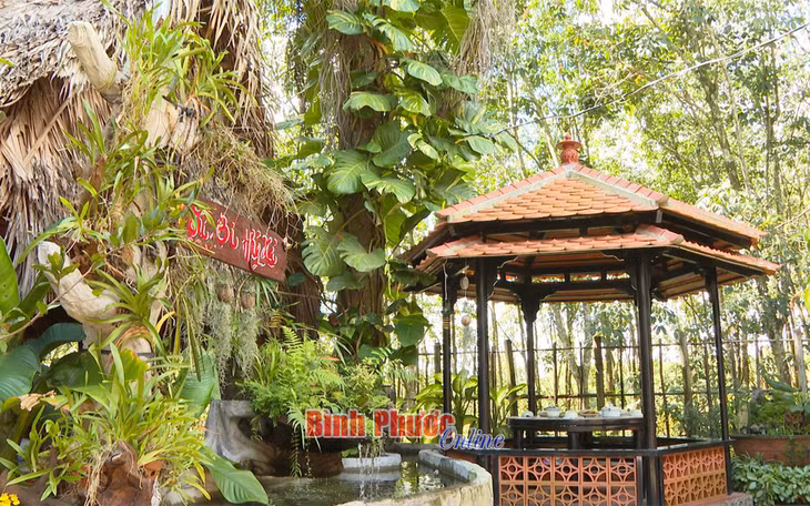Cây xanh được bài trí khắp khuôn viên chùa Vạn Quang - Ảnh: Đặng Hùng